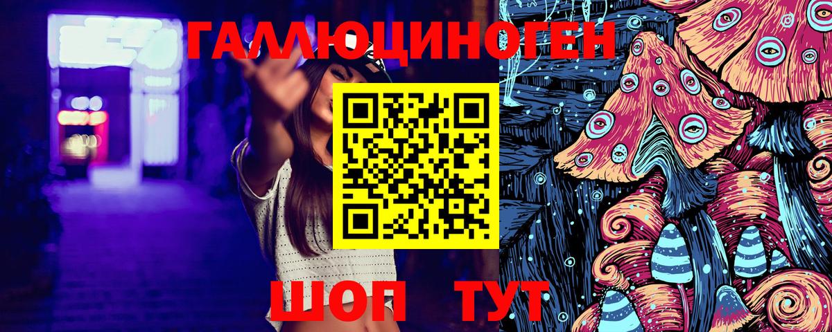 Галлюциногенные грибы Psilocybe  где продают наркотики  Кузнецк  Вход с VPN 