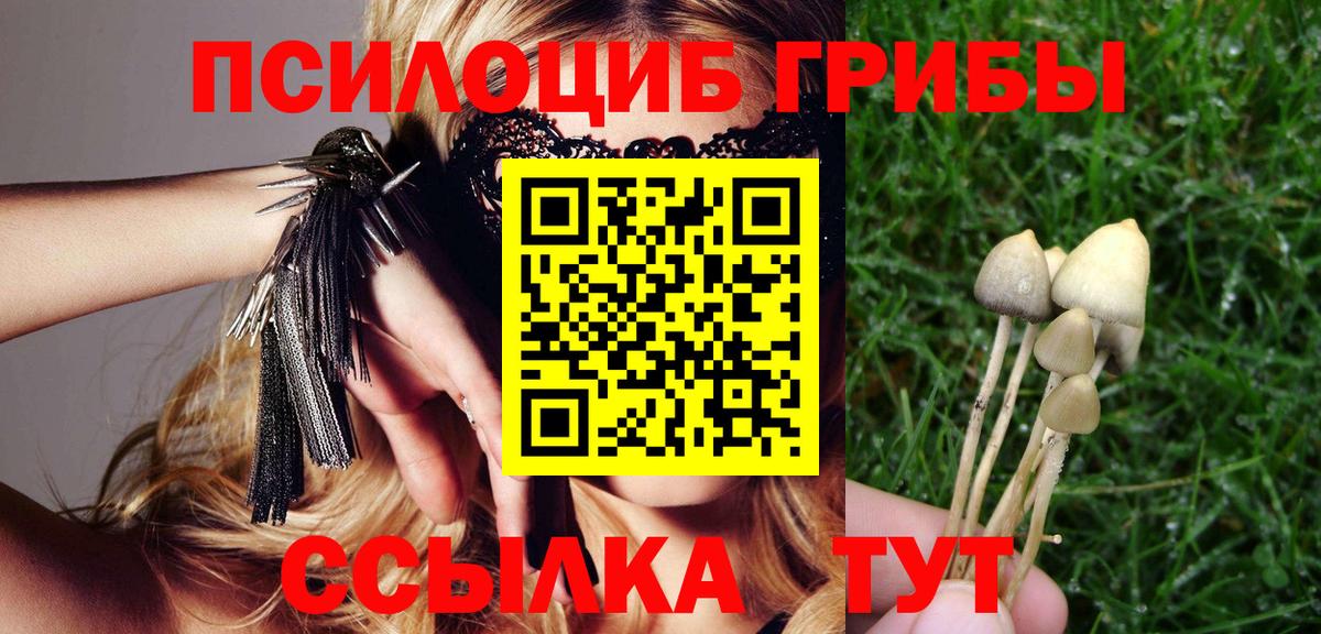 Псилоцибиновые грибы ЛСД Кузнецк